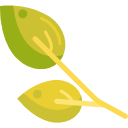 Natural Plant-Based Formula